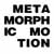 [Metamorphic Motion Image 1]